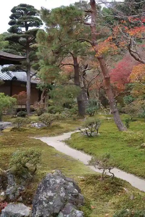 慈照寺(慈照禅寺・銀閣寺)の庭園