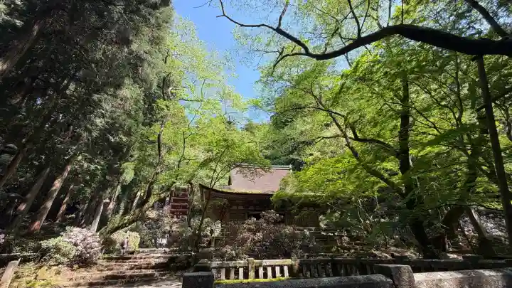 室生寺の{uncategorized: "未分類", other: "その他", undefined: "問題あり", building: "その他建物", grave: "お墓", sacred_gate: "鳥居", guardian: "狛犬", statue: "像", buddha: "仏像", history: "歴史", nature: "自然", garden: "庭園", animal: "動物", pagoda: "塔", temizu: "手水舎", mountain_gate: "山門・神門", sanctuary: "本殿・本堂", subordinate: "末社・摂社", art: "芸術", scenery: "景色", jizo: "地蔵", ema: "絵馬", goshuin: "御朱印", omikuji: "おみくじ", items: "授与品その他", amulet: "お守り", goshuincho: "御朱印帳", eats: "食事", festival: "お祭り", votive_dance: "神楽", shichigosan: "七五三参", wedding: "結婚式", experience: "体験その他", initially: "初詣", around: "周辺", anti_infection: "感染症対策"}