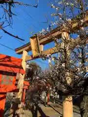 朝日森天満宮の鳥居