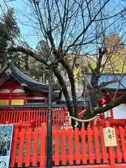 金櫻神社(山梨県)