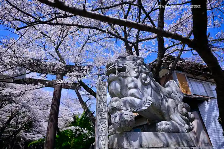 冨士御室浅間神社(山梨県)