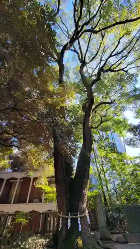 乃木神社の自然