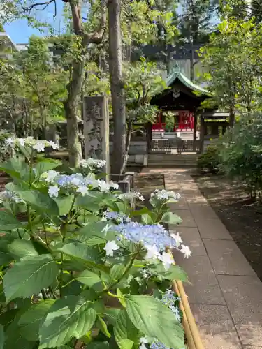 白金氷川神社(東京都)