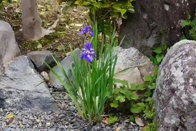 大松禅寺(京都府)