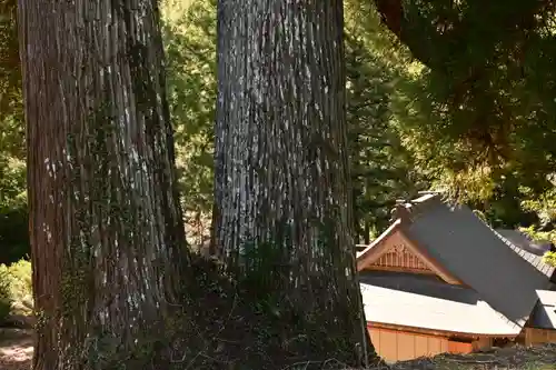 河内白王神社(高知県)