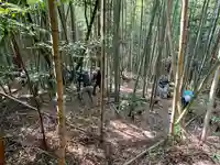 牟禮山観音禅寺の自然