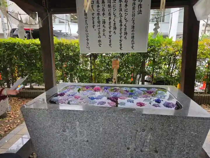 桜神宮(東京都)