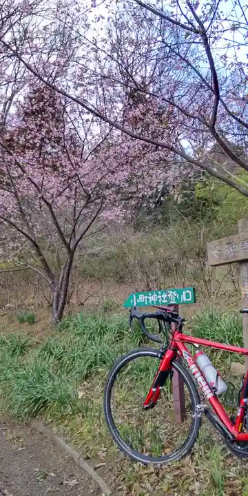小町神社の自然