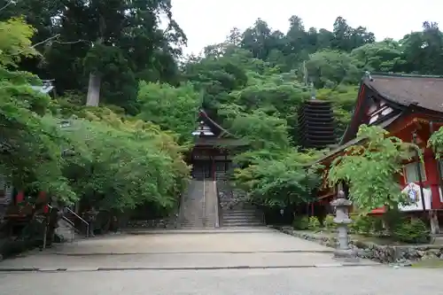 談山神社(奈良県)