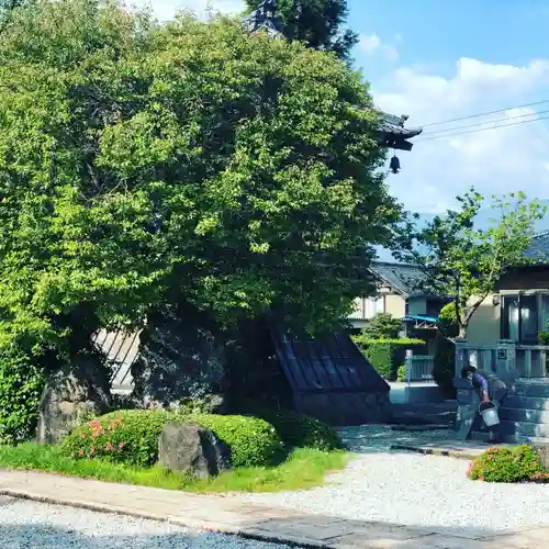 法源寺のその他建物