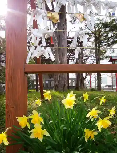 発寒神社の自然