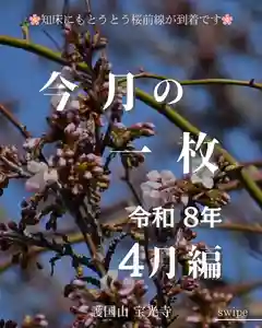 宝光寺(北海道)(2026年04月30日(木) 10時43分04秒投稿)