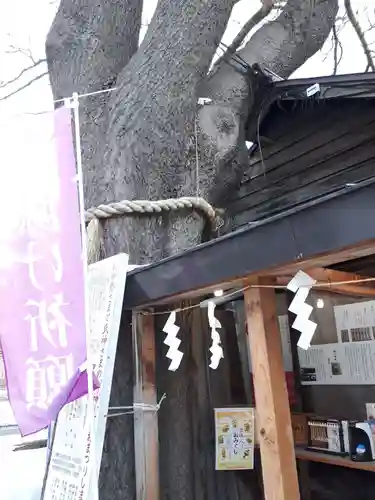 札幌諏訪神社のその他建物