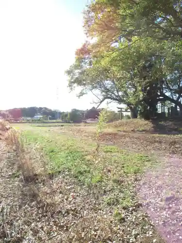 神明神社(千葉県)