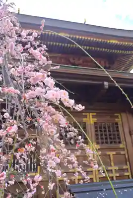 湯島天満宮(東京都)