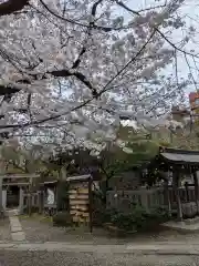 牛天神北野神社の自然