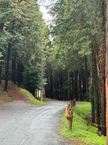 出雲伊波比神社(埼玉県)
