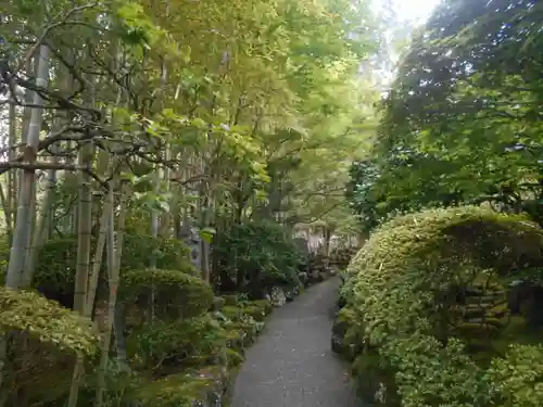 報国寺の庭園