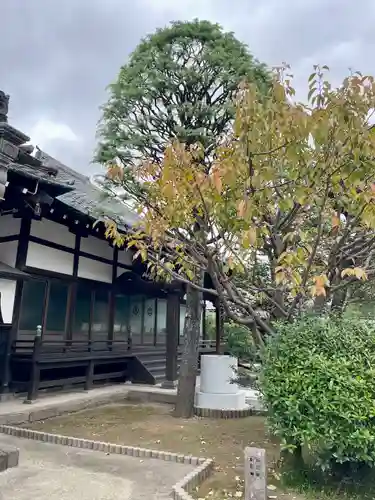 長徳寺(東京都)