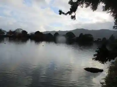 大覚寺(京都府)