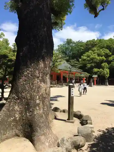 住吉神社の建物その他