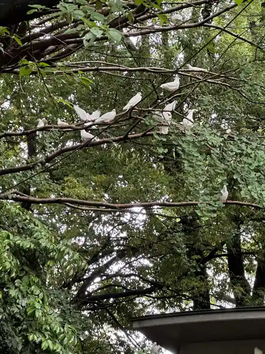 靖國神社(東京都)