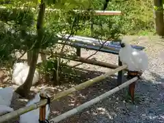 高屋敷稲荷神社の動物