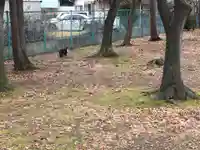 守田廼神社の動物
