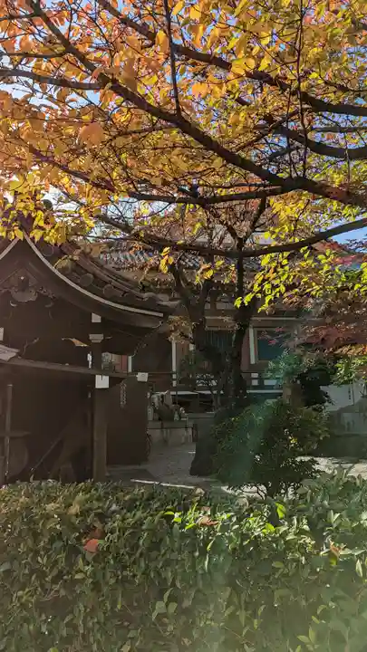 壬生寺(京都府)