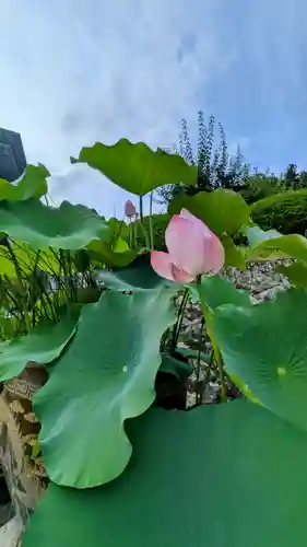 久遠寺(山梨県)