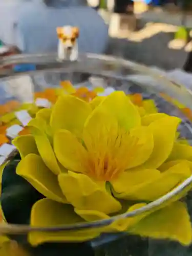 たつの市　常照寺(兵庫県)