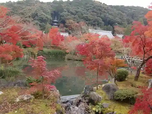 禅林寺（永観堂）(京都府)