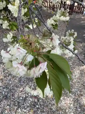 上地八幡宮(愛知県)