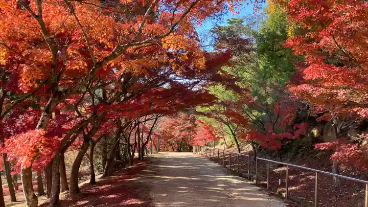 龍泉寺(岡山県)