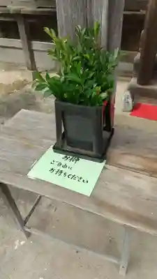 鹿嶋三嶋神社(茨城県)