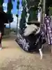 若葉区のウルトラランナー