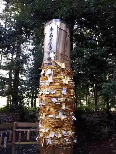 下野 星宮神社のおみくじ