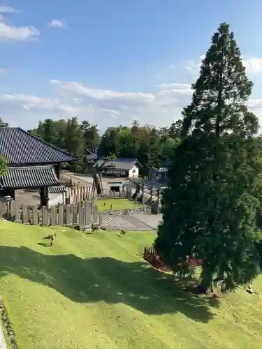 東大寺 二月堂(奈良県)