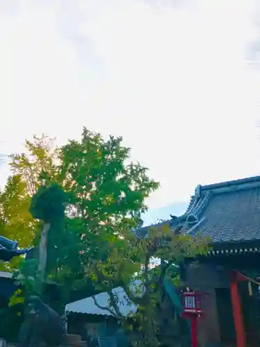 龍ケ崎八坂神社(茨城県)
