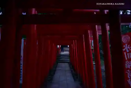 武蔵一宮氷川神社の鳥居