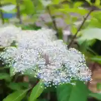 性海寺の手水舎