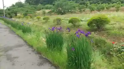 高司神社〜むすびの神の鎮まる社〜(福島県)