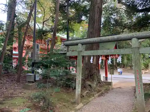 鹿島神宮の鳥居