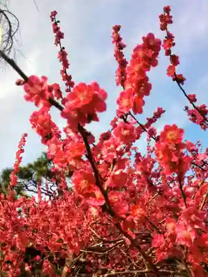 圓照寺(東京都)