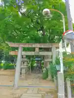 八幡社(下津)の鳥居