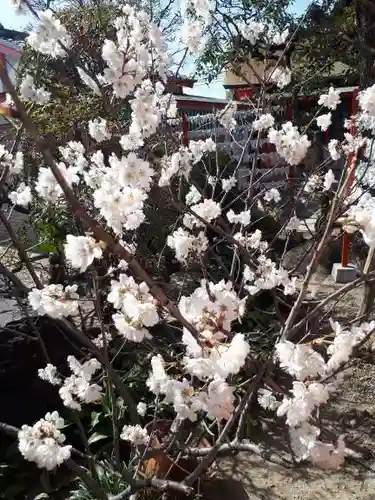 山本八幡宮(大阪府)