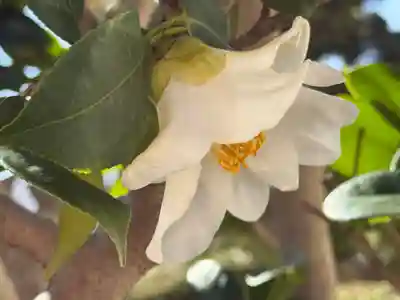 西方山極楽寺(岐阜県)