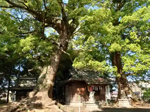 廣野神社(静岡県)