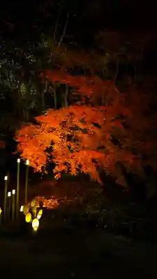 賀茂御祖神社（下鴨神社）(京都府)