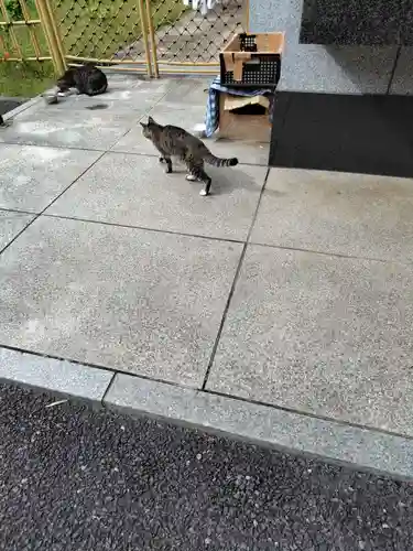 白金氷川神社(東京都)